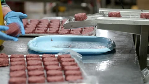 Cutlet factory making process industry Stock Footage 132681419