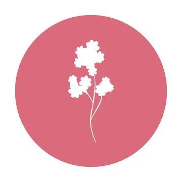Cutout white flower graphic inside a single pink circle 스톡 일러스트