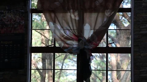 CUTRTAIN Stock-Footage 250624599