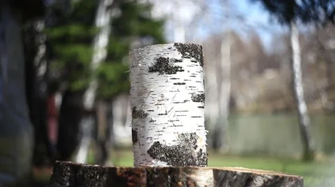 Cuts firewood with an ax 스톡 동영상 49732720