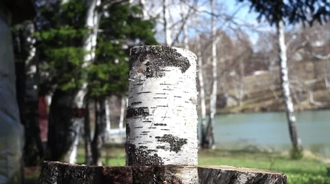 Cuts firewood with an ax Stock Footage 49732724