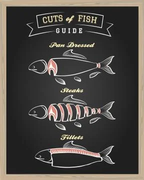Cuts of Fish Guide Illustration Stock Illustration