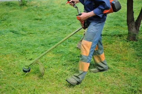 Cuts off a grass Stock Photos