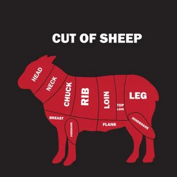 Cuts of lamb. Stock Illustration