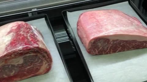 Cuts of  Meat Stock Footage 148875055