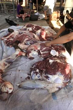 Cuts meat Stock Photos