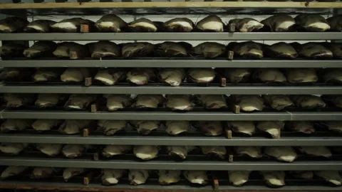 Cuts of meat in trays Stock Footage 75903860