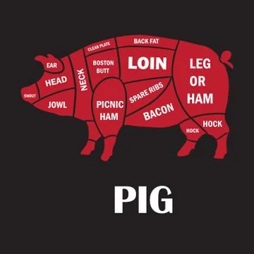 Cuts of pork. Stock-Illustration