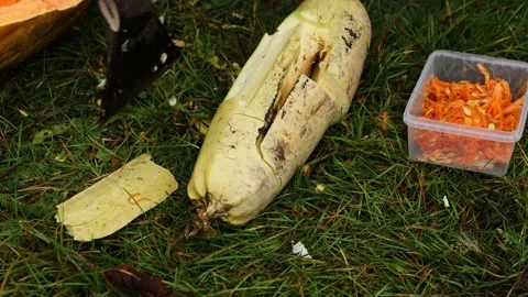 Cuts a pumpkin with an ax Stock Footage 165344616