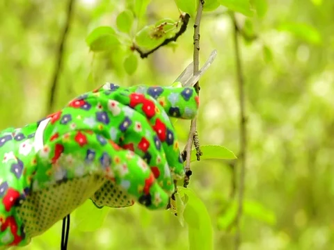 Cuts the trees in the garden Stock Footage 85234335