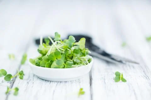 Cutted Cress (selective focus) Stock Photos