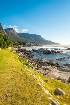 Cutted grass Stock Photos