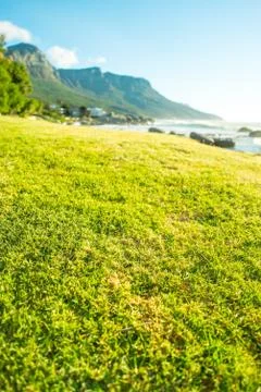 Cutted grass Stock Photos
