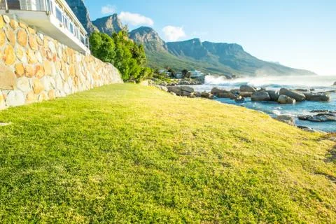 Cutted grass Stock Photos