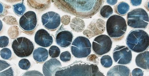 Cutted Logs bright inverted background like cells under a microscope Stock Photos