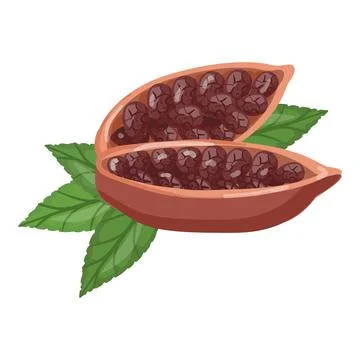 Cutted organic fruit cacao icon cartoon vector. Cocoa bean Stock Illustration