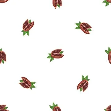 Cutted organic fruit cacao pattern seamless vector Illustrazione stock
