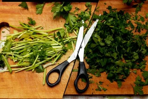 Cutted parsley Stock Photos