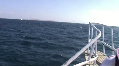 Cutter Stock Footage 1791457