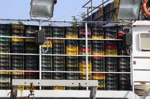 Cutter 스톡 사진