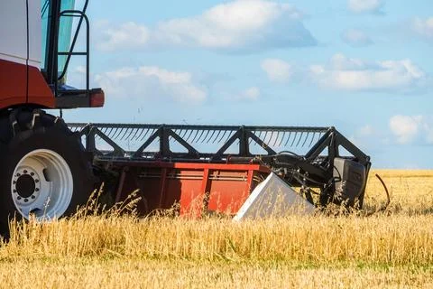 Cutter platform of reaping machine at work. Combine harvester in the field. Stock Photos