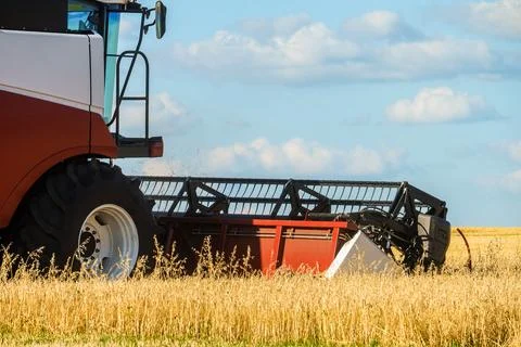 Cutter platform at work. Reaping machine Stock Photos