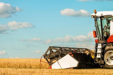 Cutter platform at work. Reaping machine. Side view combine harvester. Foto stock