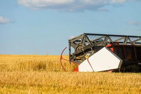 Cutter platform at work. Reaping machine. Foto stock