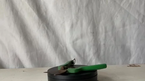 Cutter on white background 스톡 동영상 296171371