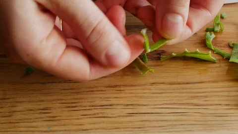 Cutting the aloe leaf, showing, extracting the pulp, jelly, gel Stock-Footage 108031019