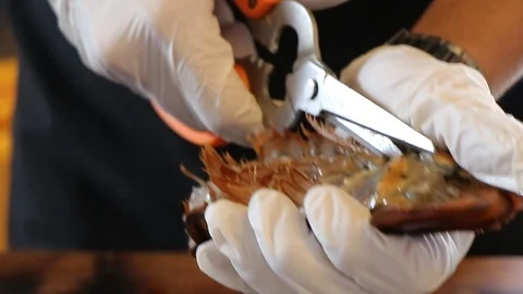 Cutting and peeling Lobster with scissors. Video stock 124681718