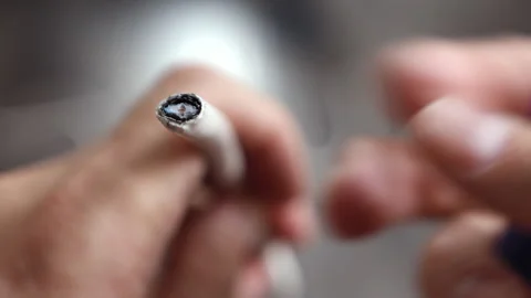 Cutting and revealing the internal structure of a coaxial cable Stockbeeldmateriaal 312358493