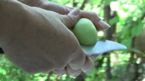 Cutting apples 스톡 동영상 11275444