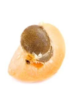 Cutting apricot Stock Photos