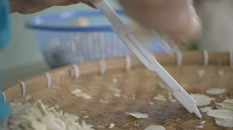 Cutting arrowhead mushroom Stock Footage 33738677