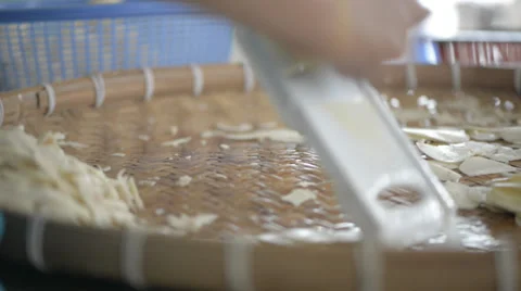 Cutting arrowhead mushroom Stock Footage 33738684