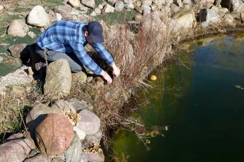 Cutting back on the pond Stock-Fotos