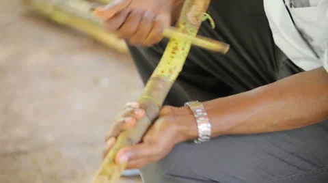 Cutting the bark from the cinnamon tree Stock-Footage 26025810
