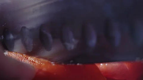 Cutting beautiful red tomato using kitchen knife, water drops macro video. Fresh Video stock 147934243