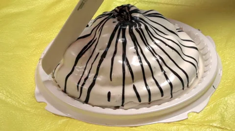 Cutting the birthday cake Stock Footage 47209412