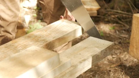 Cutting board outside in forest with hand saw, closeup, 4k Stock Footage 120314480