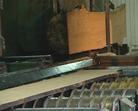 Cutting boards from logs. Special machines for processing wood. Stock Footage