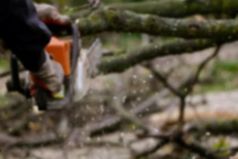 Cutting of the branch with a chainsaw Stock Photos