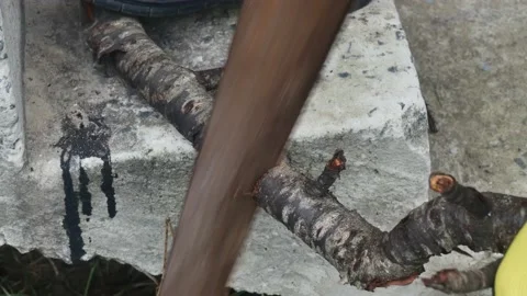 Cutting a branch with a rusty old hacksaw on a ladder, close-up 스톡 동영상 228709065
