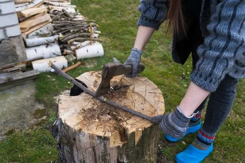 Cutting branches on the deck. A girl cuts a branch with an axe Stock Photos