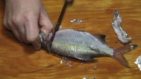 Cutting bream head Stock Footage 36005010