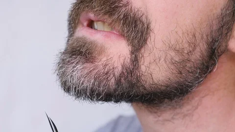 Cutting The Bristles With Scissors Stock Footage 105266870