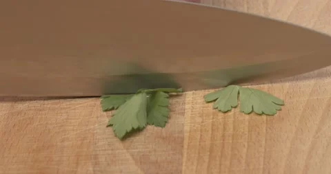 Cutting a bunch bundle of flat leaf parsley Stock Footage 135818443