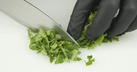 Cutting a bunch bundle of flat leaf parsley Stock Footage 146115945