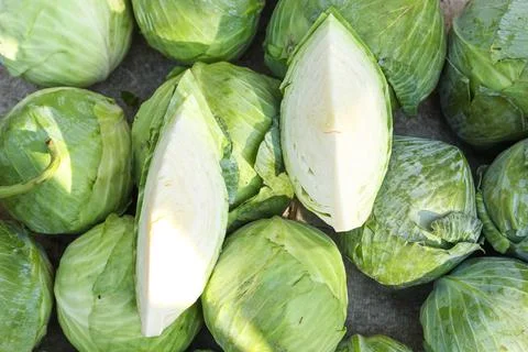 Cutting cabbage Samples. Stock Photos